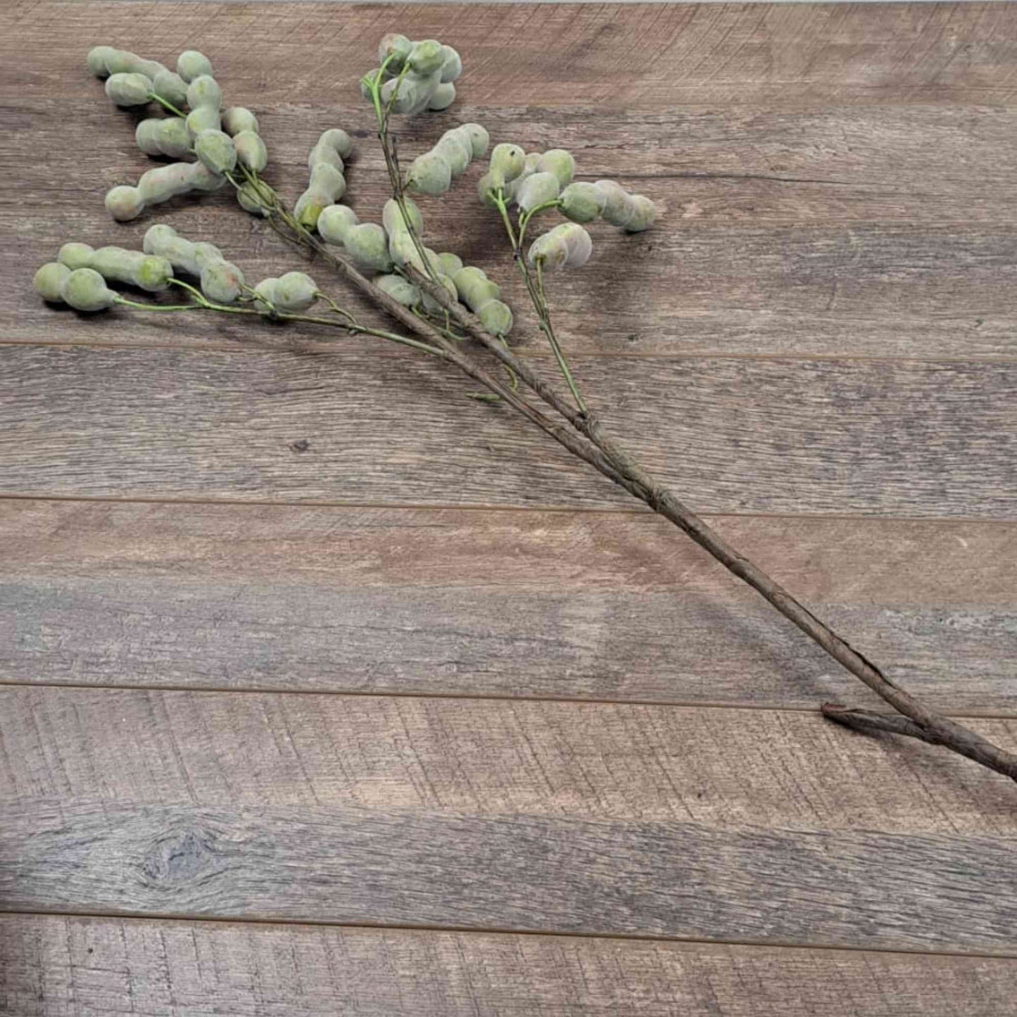 Artificial  Foliage Silk Bean Branch