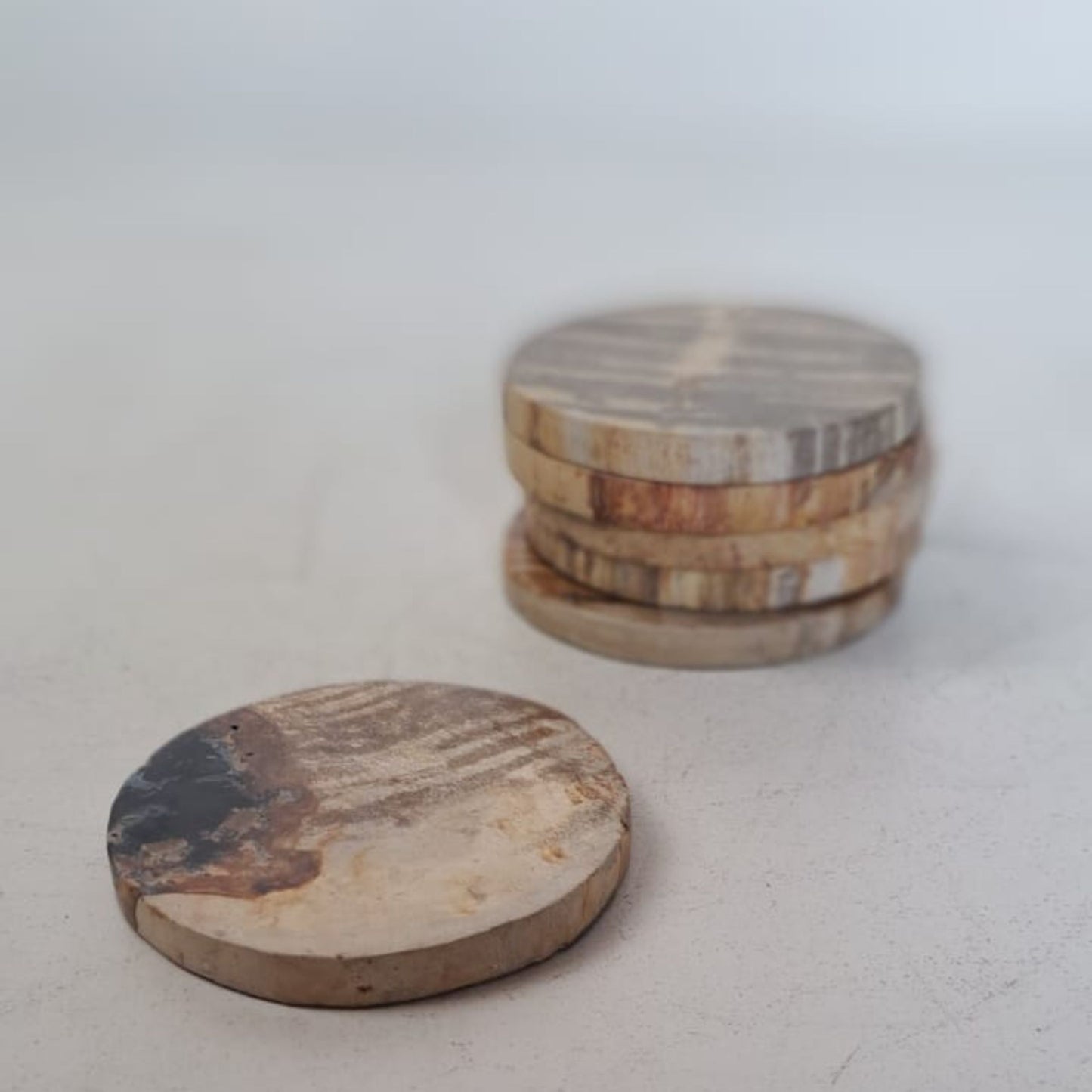 Petrified Wood Set of 6 Coasters