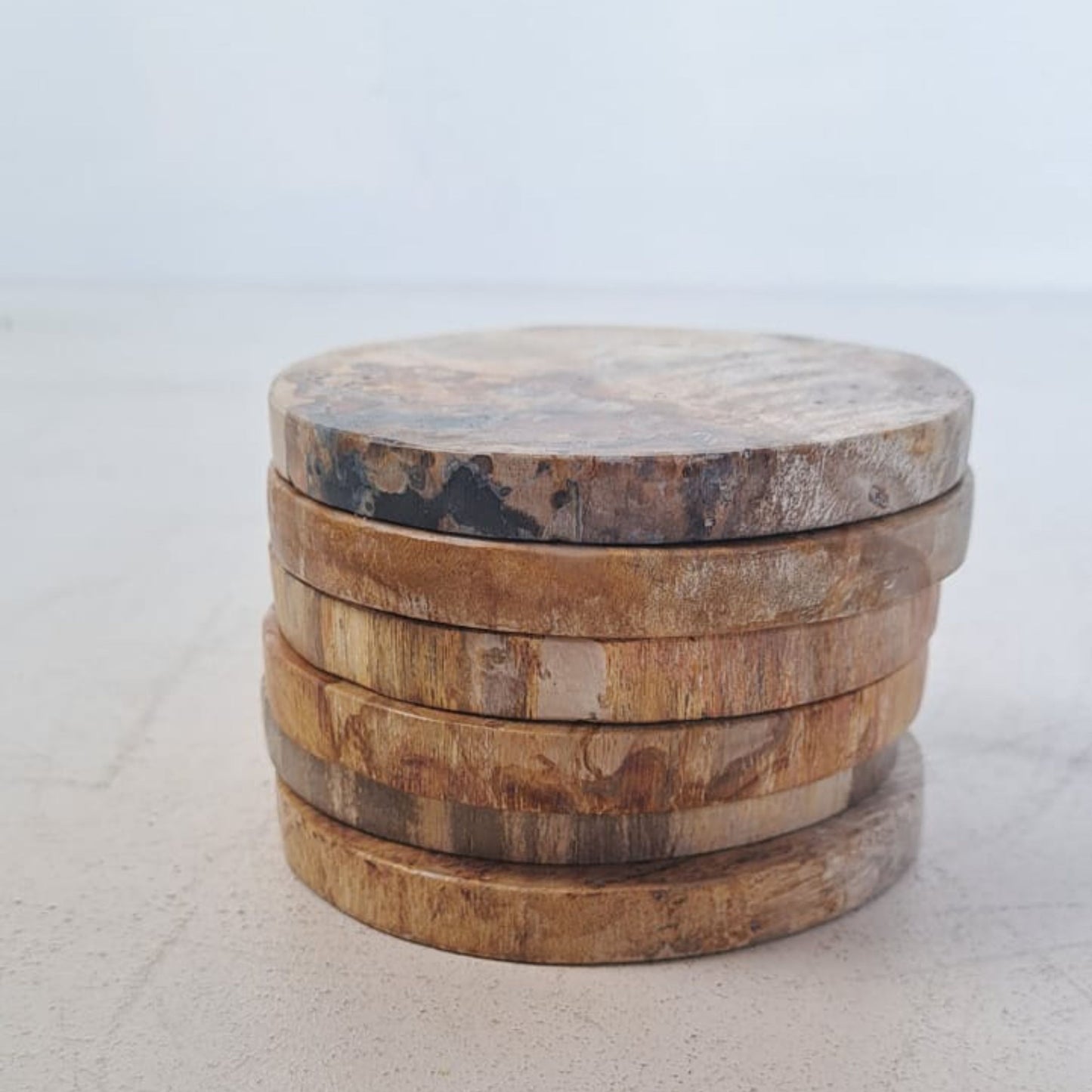 Petrified Wood Set of 6 Coasters