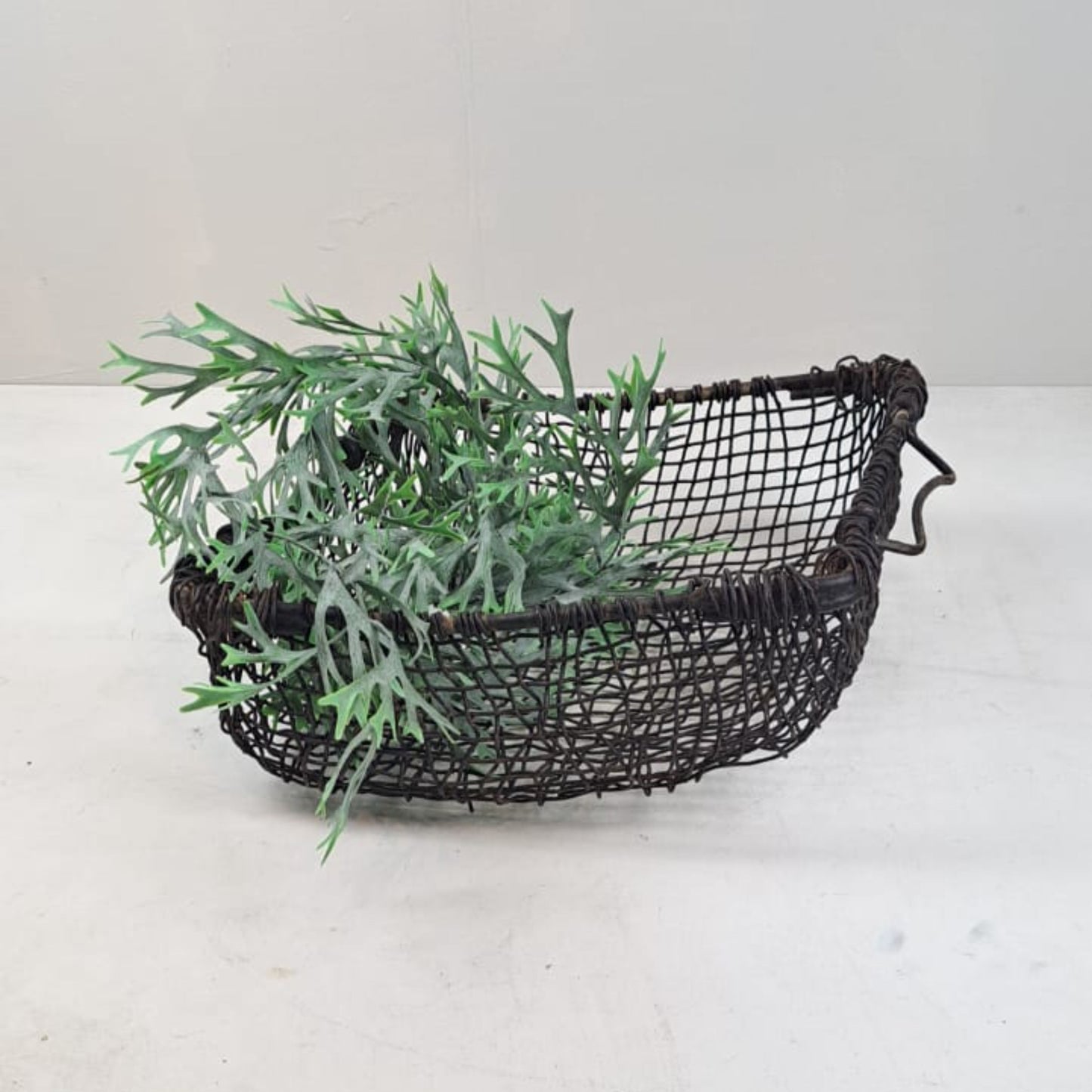 Antique French Oyster Basket