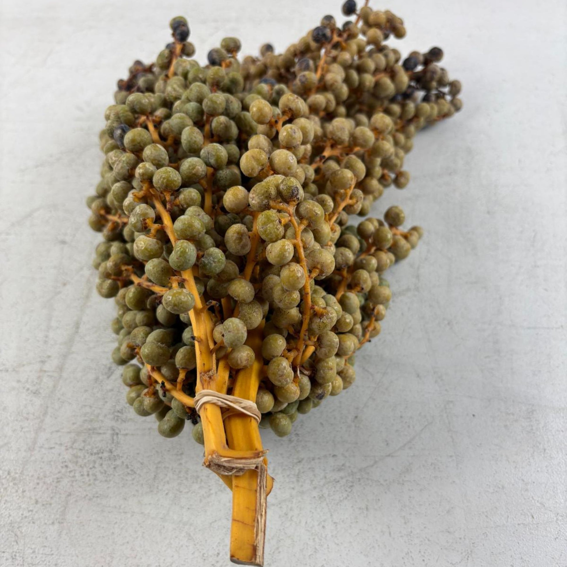 Dried Date Berry Branches