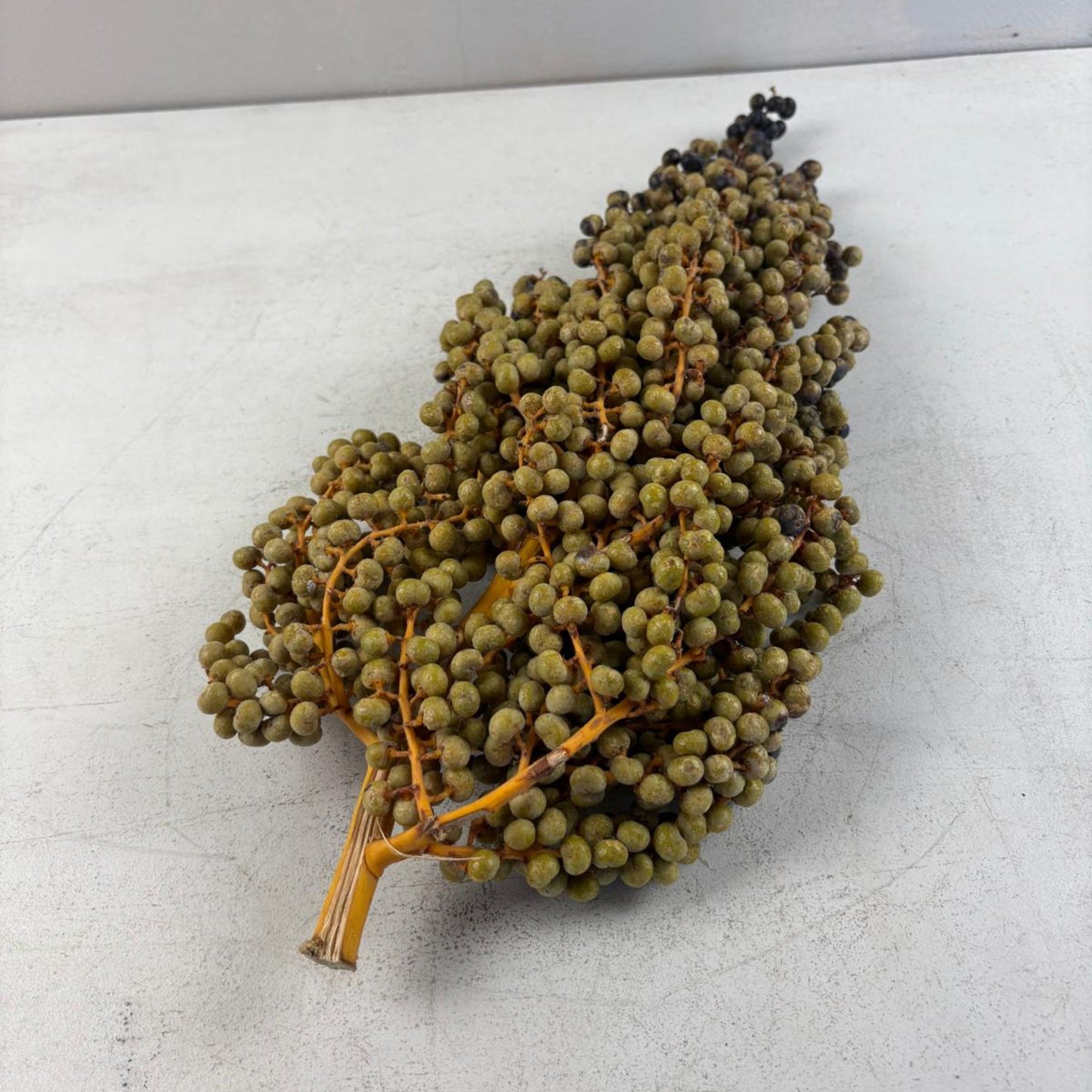 Dried Date Berry Branches