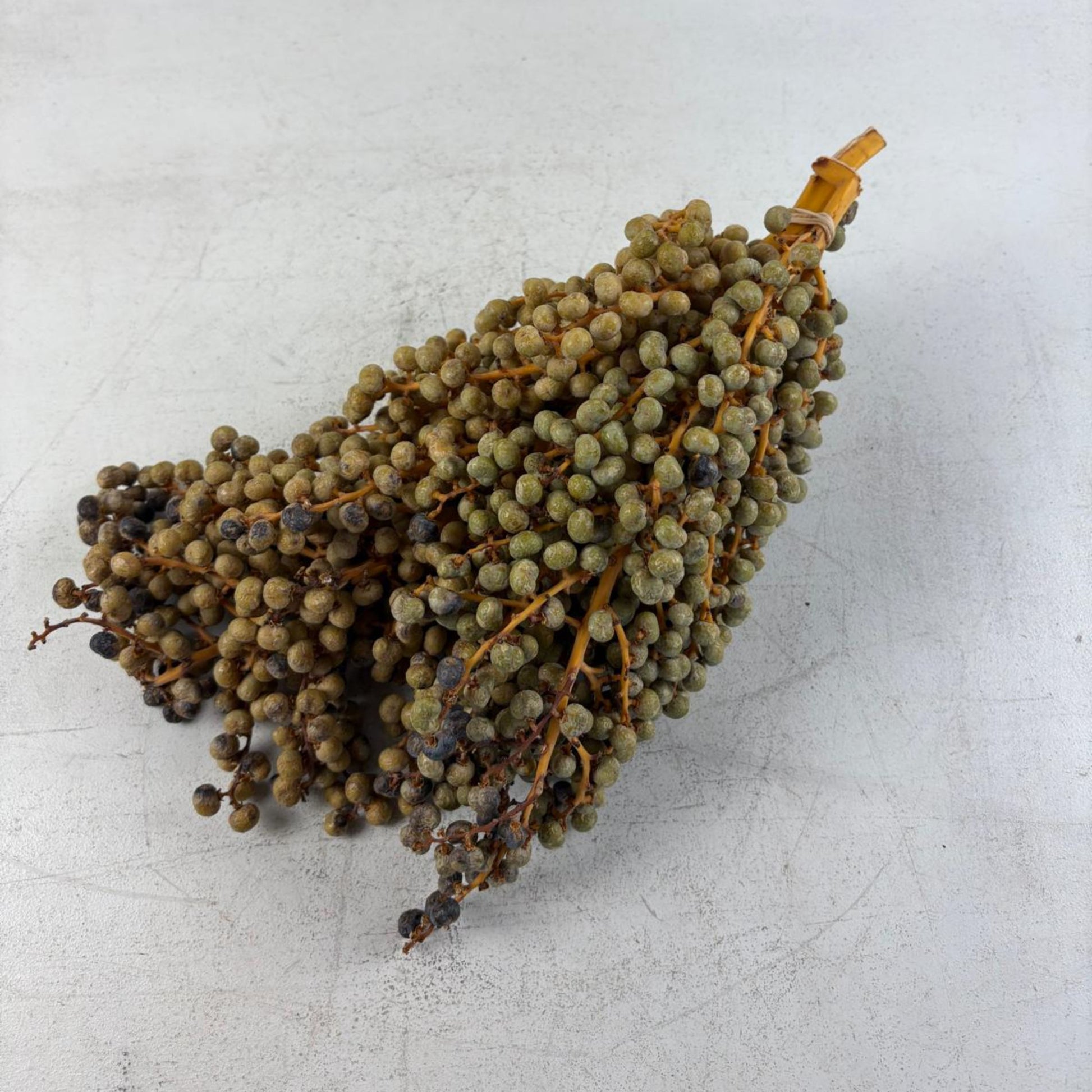 Dried Date Berry Branches